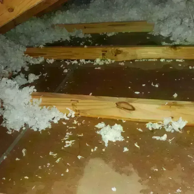 Attic Water Damage in Greenville, MO